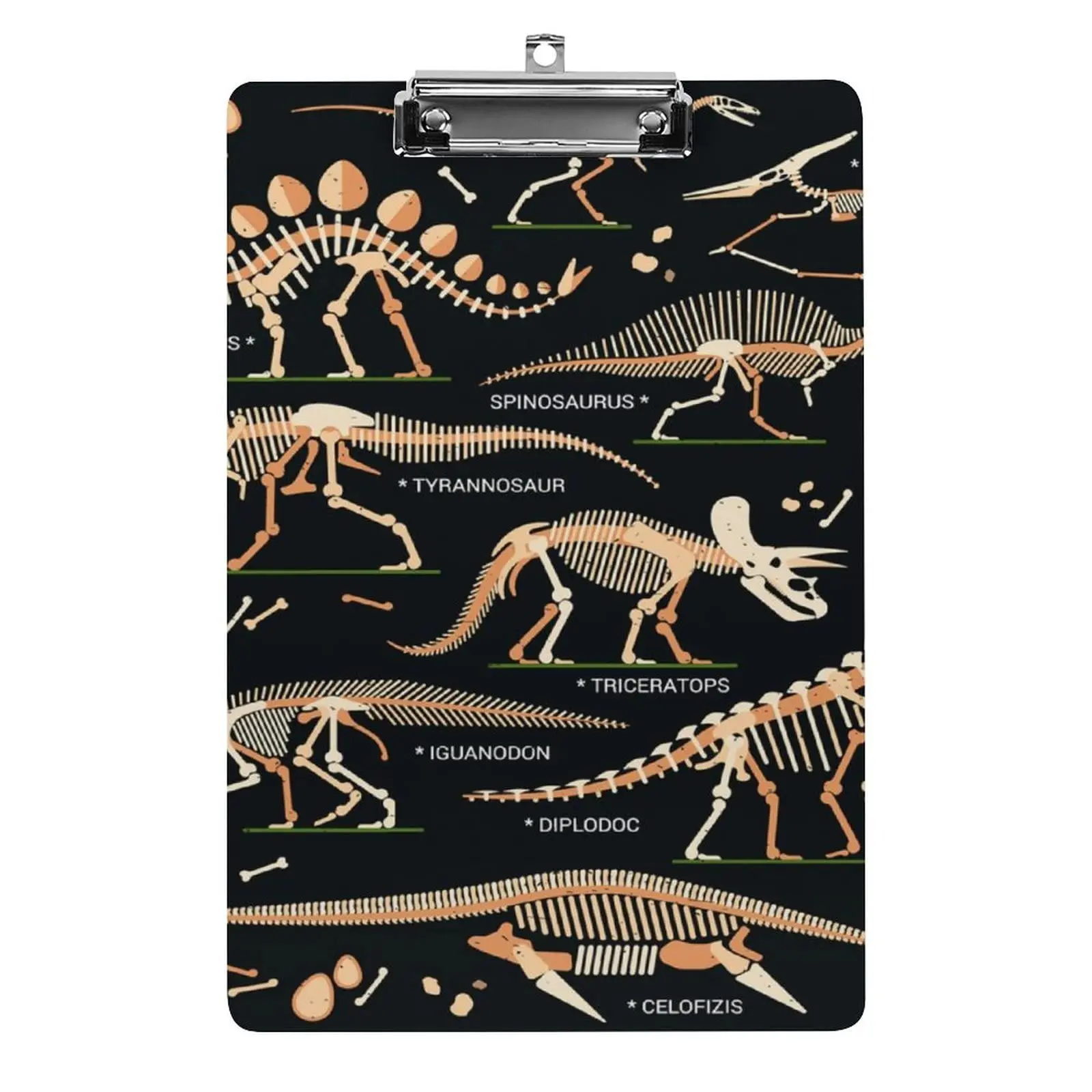 Skeleton Acrylic Clipboard Standard A4 Size Fashion Plastic Clipboard Suitable for Classroom Offices Students Women Men Children