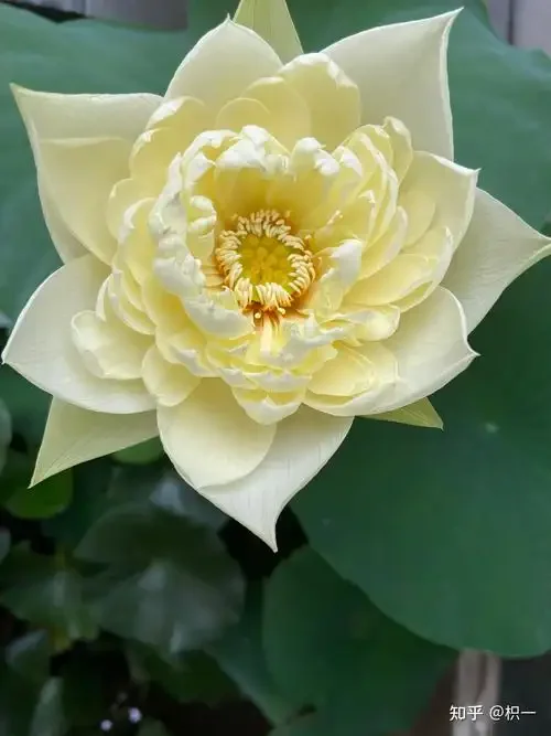 Carteira com etiqueta inteligente gps, cartão anti-perda, rastreamento de localização android, funciona com google encontrar meu aplicativo, dispositivo bluetooth, carregamento sem fio, encontrar