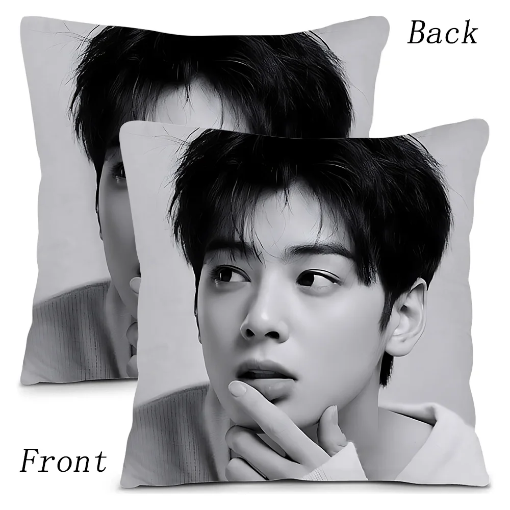 Kpop Singer Cha E-Eun W-Woo Pillow Covers Cartoon Sofa Decorative Home Double-sided Printing Short Plush Cute Cushion Cover