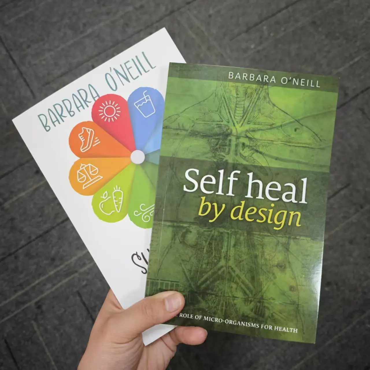 Self Heal By Design,By Barbara O'Neill,Sustain Me,The 9 Foundational Pillars for Health Guide Book A Handbook of Natural Remedie