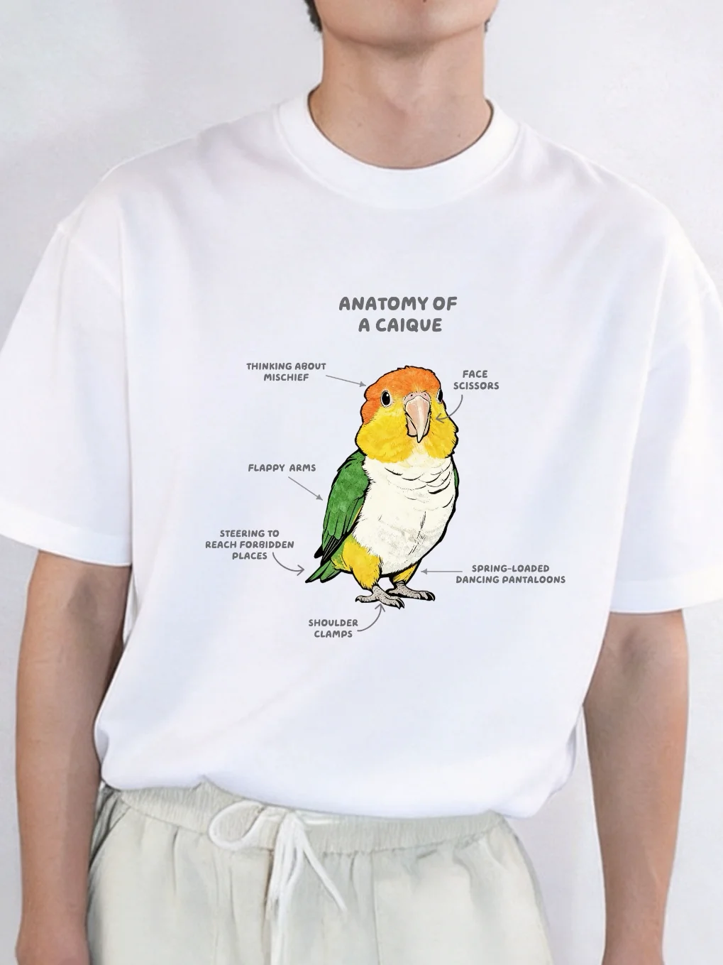 Keke Parrot Illustration Cotton Short Sleeve T-Shirt Unisex Commute Casual Print Fun Cute Breathable round Neck Zipper Closure