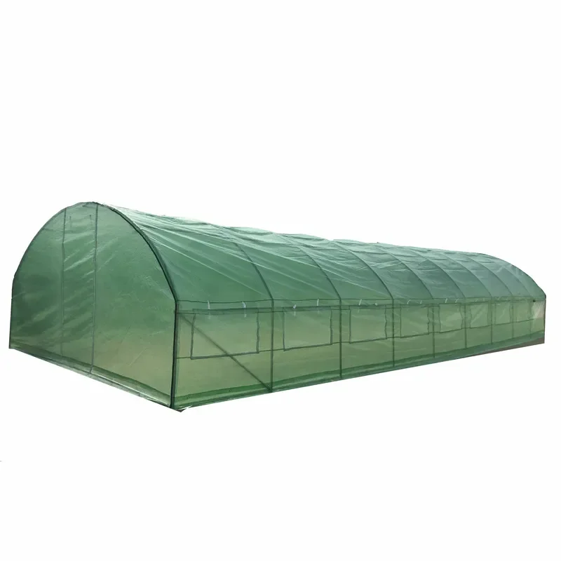 4x11m Plastic Walk-in Tunnel Greenhouse