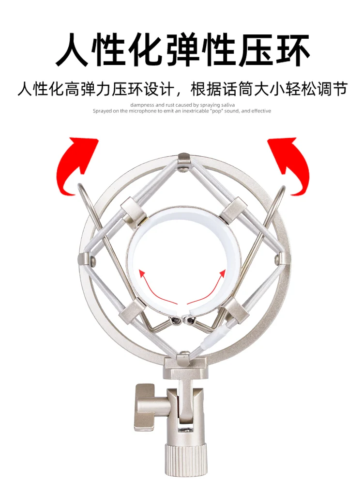 Microphone shock absorber