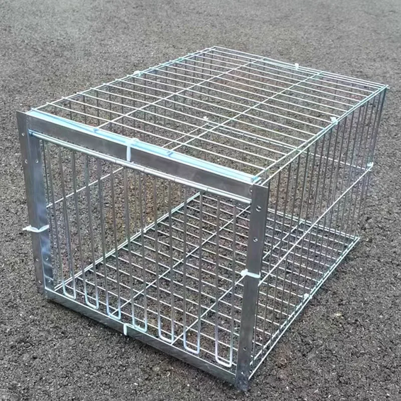 Mid Foldable Galvanised Pigeon Bird Trap Cage Feral Pigeon humane way with the one-way entrance Trapping Pigeons doves In Cages