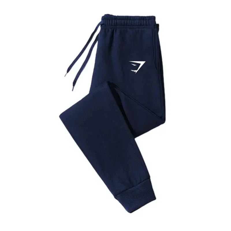Fashion Men Casual Sports Pants Running Workout Jogging Long Pants Gym Sport Trousers for Men Jogger Sweatpants image 5