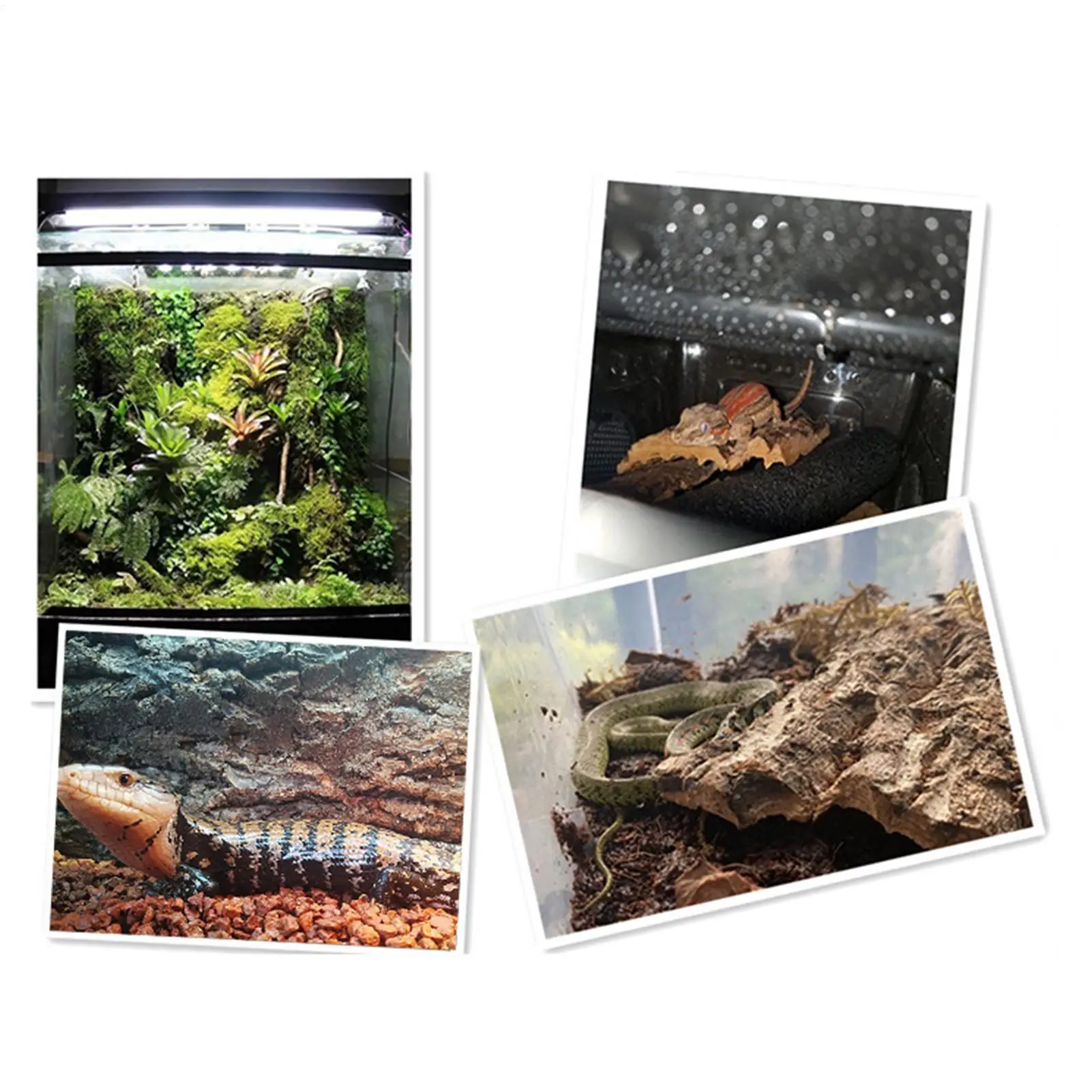 

Водостойкая игрушка-траверза из пробковой коры для лазания и тренировок, натуральная пробковая кора для террариумов, для змей, ящериц, черепах, гекконов, хамелеонов и других домашних животных