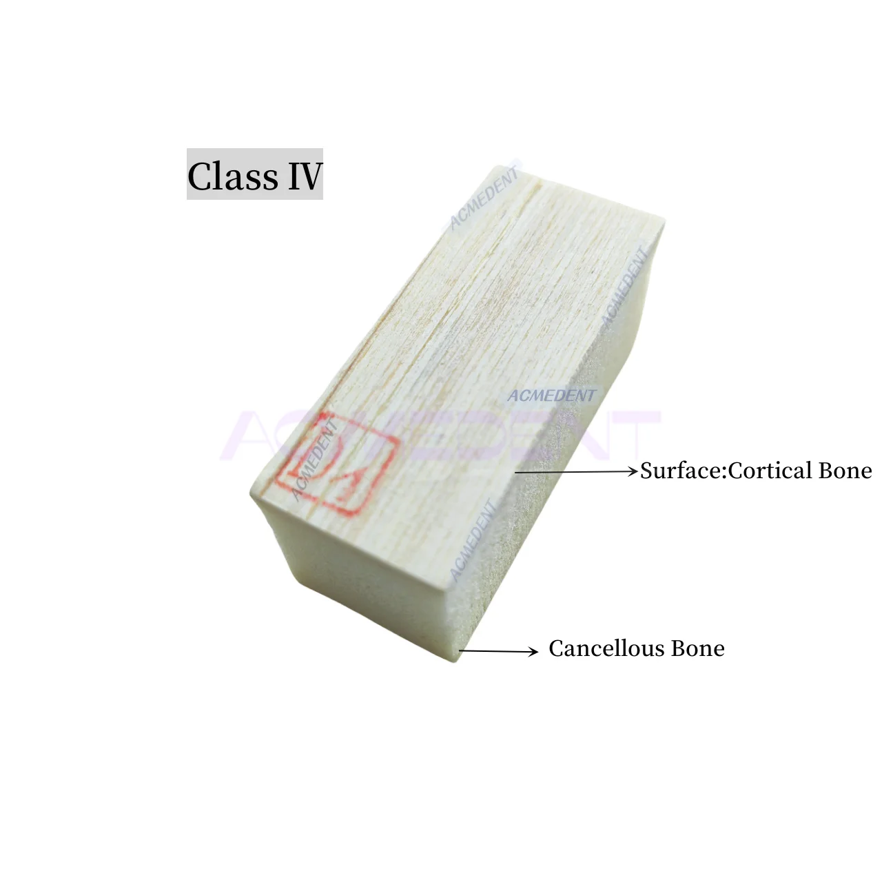 

1pieces Dental Study Jaw Bone Replica Practice Model Wood Blocks GBR/Implant Use D1-D4