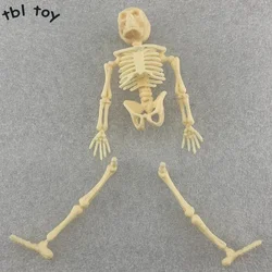 1/12 Scale Plastic Skeleton Small Antique Skeleton Model for 6
