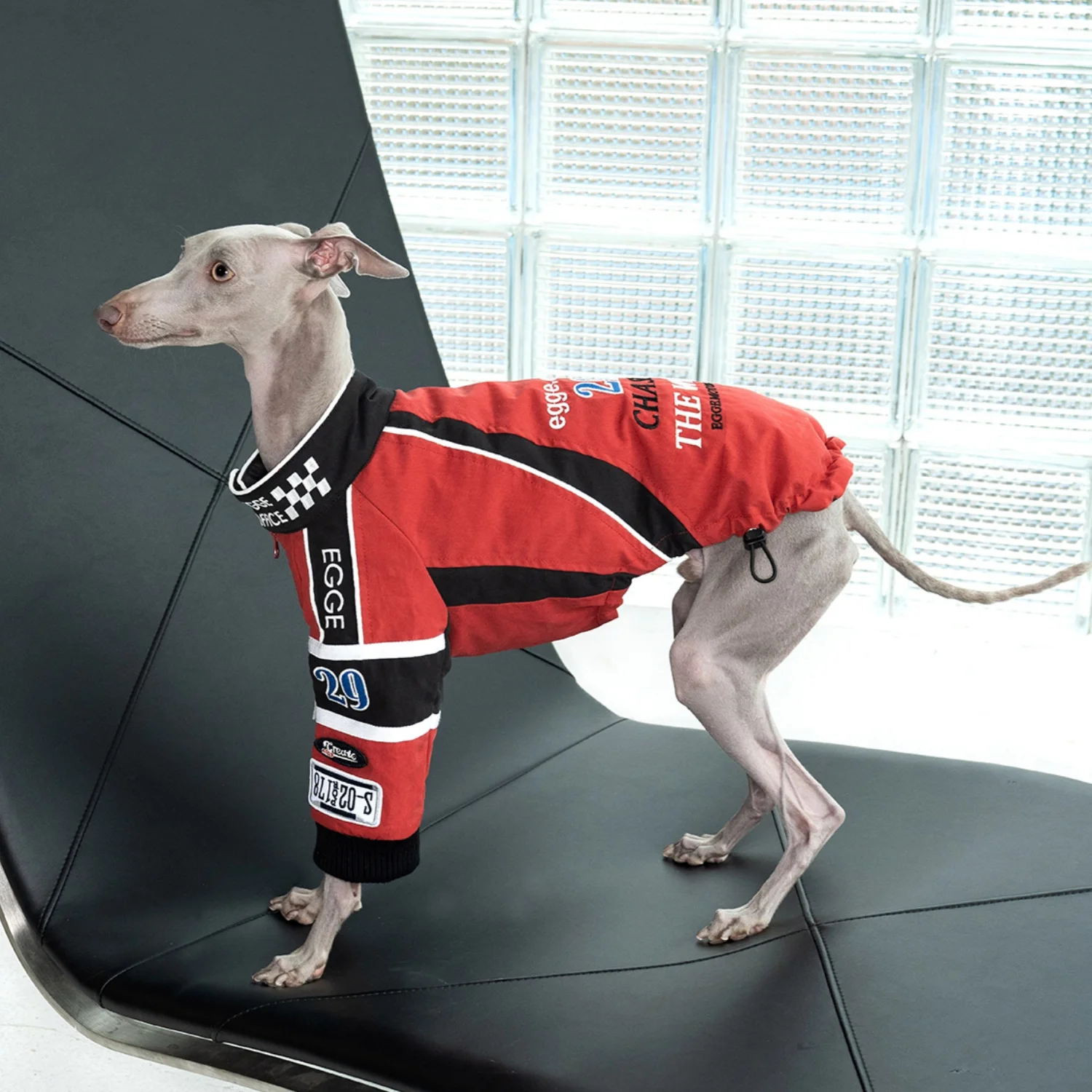 Красный гоночный костюм в стил – обзор и цена Motorcycle Gear Dogs