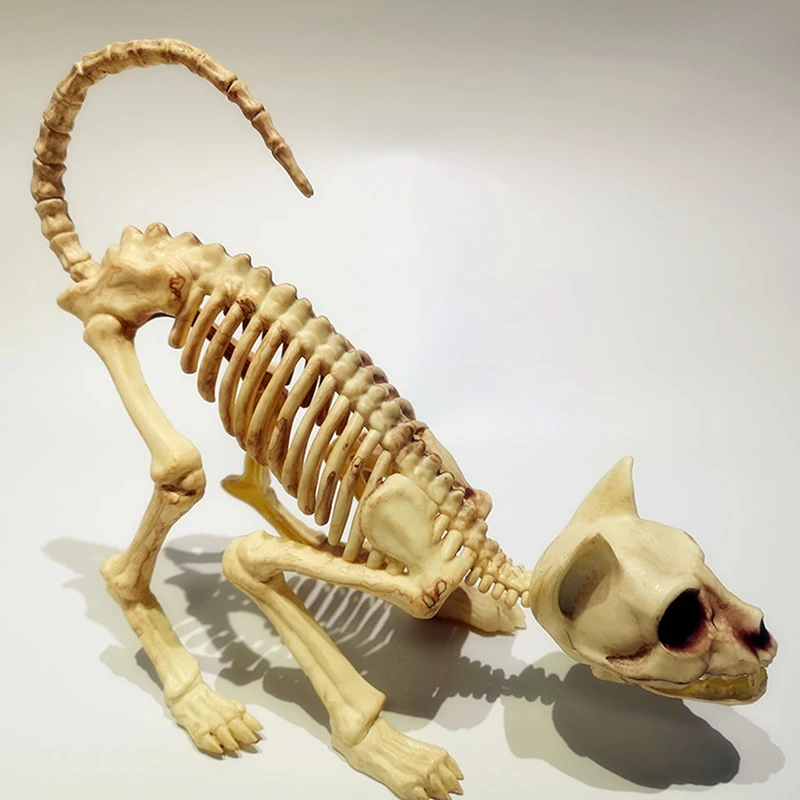 Creative Halloween Scary Skeleton Decoration Crouching Cat Skeleton Cat Skull Model Creepy Animal Bones For Party Trick