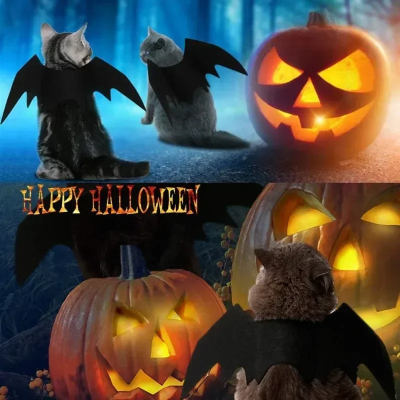 Niedliche Fledermausflügel für Haustierkatzen für Halloween-Party-Dekoration, Cosplay-Halsband-Accessoire für kleine Hunde, Welpen, lustiges Kostüm zum Verkleiden – Detail 1