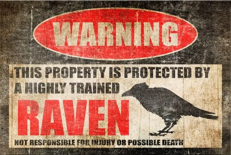 Raven Warning Sign, Funny Raven Sign, No Trespassing Sign, Funny Metal Yard Sign - Available in 9x12, 12 x 18 8-HIG021 Outside B