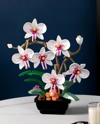 Get Your Orchid Building Blocks, Eternal Flower Model, Bouquets Toy Bricks for Girls, Plants for Home Decoration