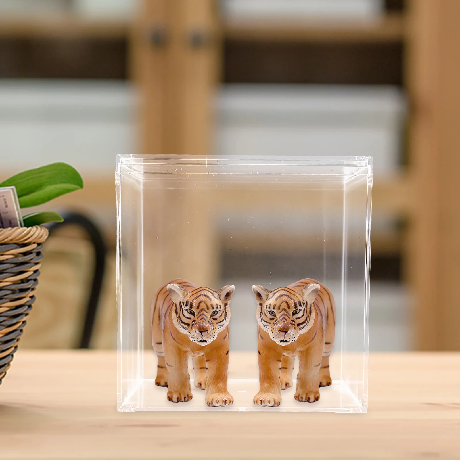 

Transparent Display Box For Collection Storage Clear Plastic Organizer Case Exhibition Showcase Container