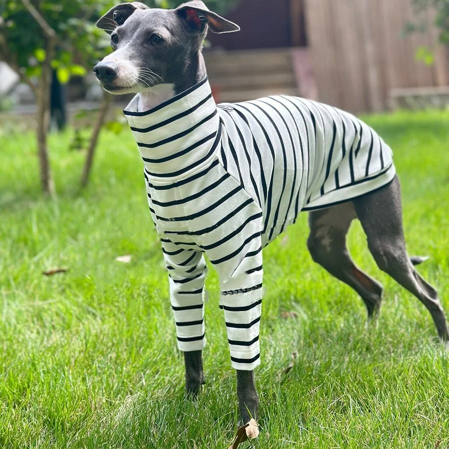 White Striped Cotton T-shirt for Bedlington Spring Dog Clothes Long Sleeves High-neck Undershirt Loungewear for Little Greyhound