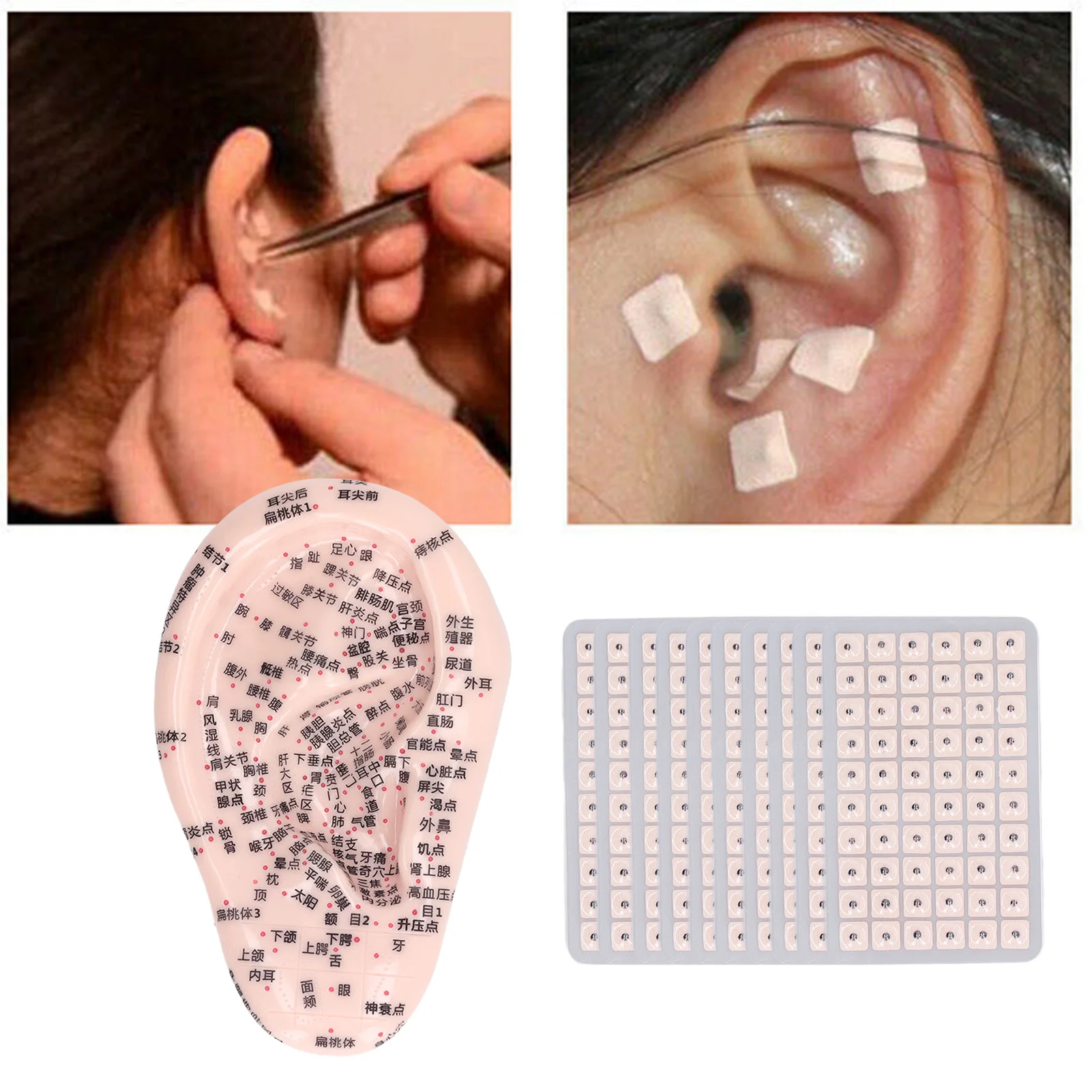 

Ear Acupuncture Probe Model Set 17cm Ear Point Probe 600pcs Auricular Patches Silicone Ear Model Telescopic Probe Tweezers