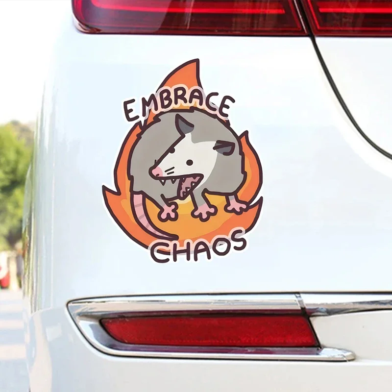 

Possum Embrace Chaos Choose Violence Sticker Vinyl Waterproof Cute and Funny Animal Meme Decal Sticker for Water Bottle