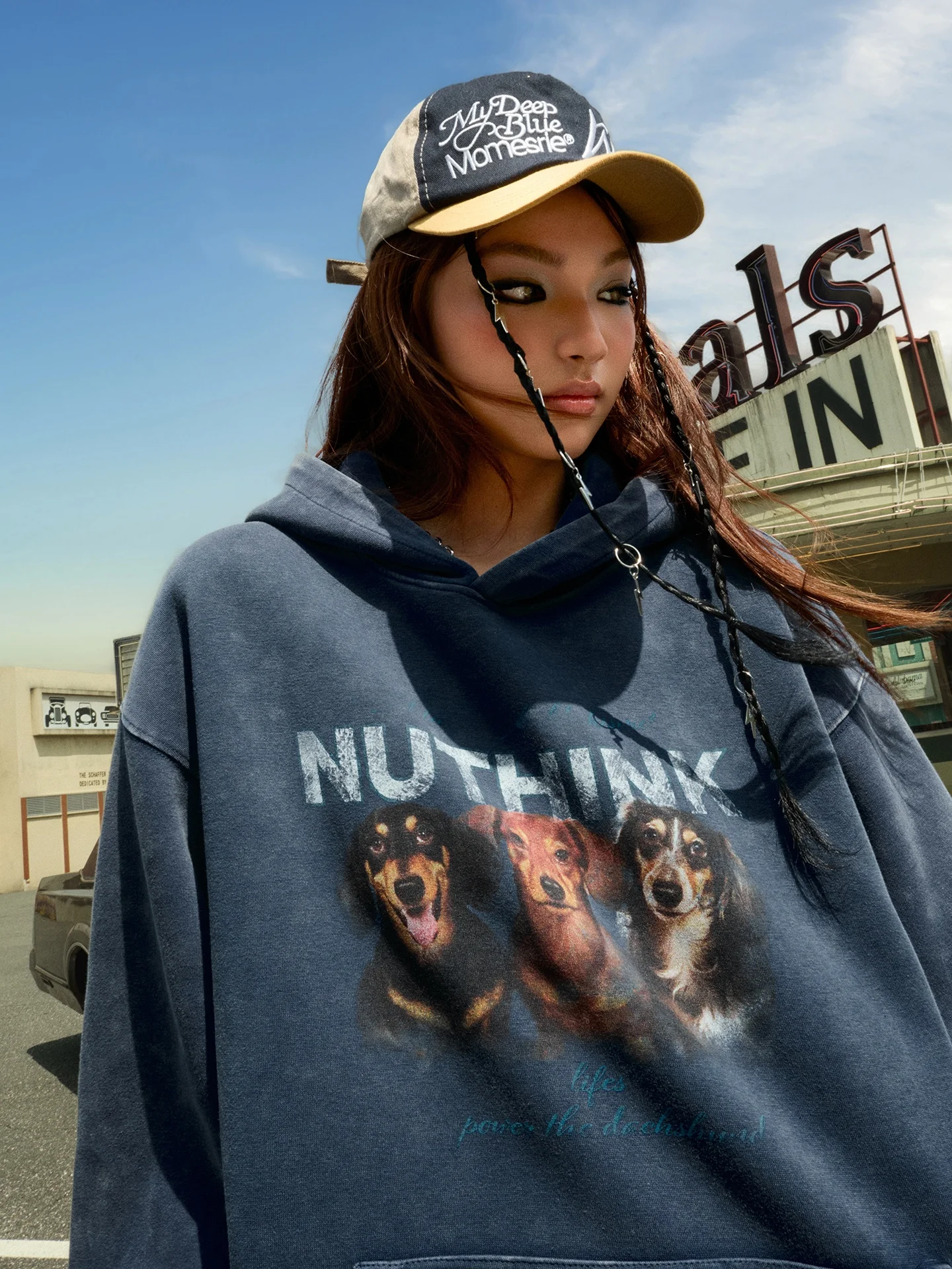 

Nuthink American Retro Sausage Dog Print Hoodie Loose Fit ex Long Sve Comfortable Cotton Sweatirt for Spring