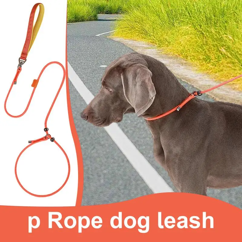 Dog Training Leads For Walking 59in Adjustable Small Dog Neck Strap 360-degree Anti-knot Rotation Escape-Proof Dog Harness