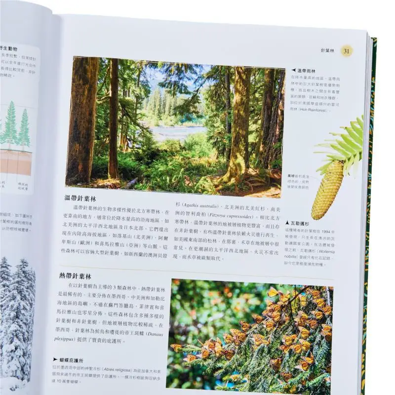 The Encyclopedia Of Trees  The Secret Life Of Trees And Human Stories In The Eyes Of Trees DK Publishing House UK 9789620706400 view 4