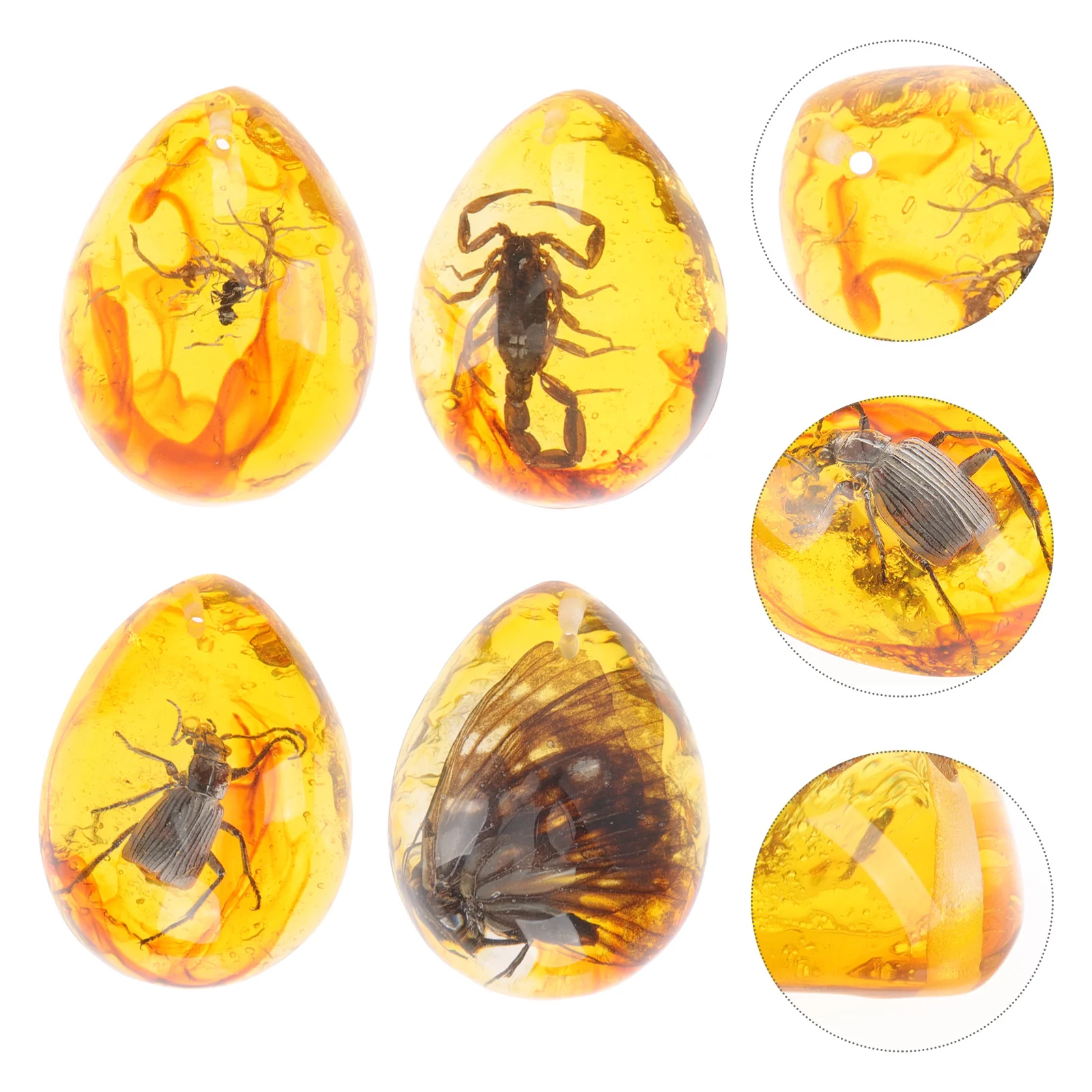 4 Pcs Pendant Insect Amber Specimen Bug Decor Synthetic Resin Collection Pendants