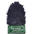 hens black