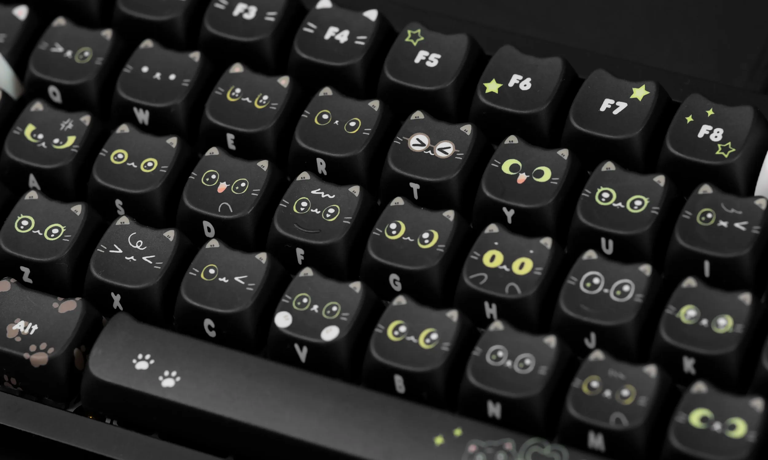 Рисунок 4 - Черный кот PBT Keycap 5-сторонний