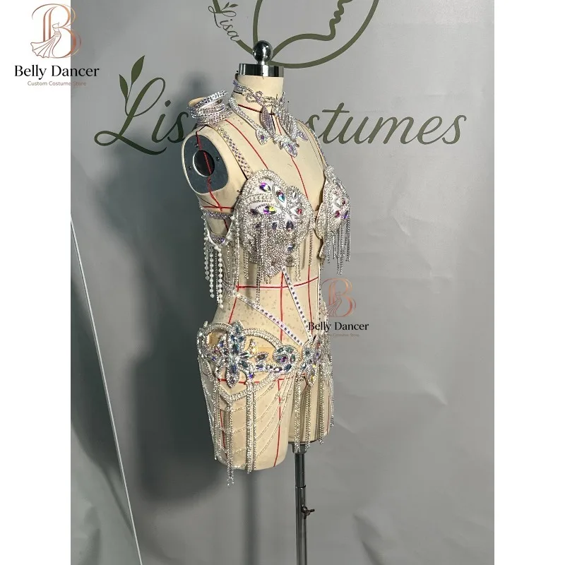 Customized Belly Dancewear Oriental Dance Clothes Performance Dress (Underwear Waist Cover and Accessories) Bellydance Costumes