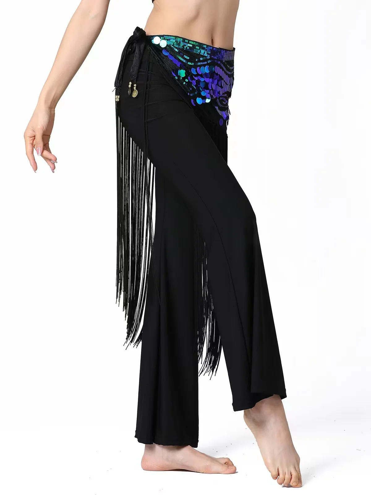 Belly Dance Hip Scarf Glitter Fringe Triangle Wrap Belt Sparkle Skirt for Women Outfit Accessory with Tassel Sequins Shine New