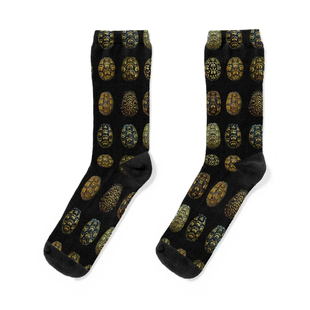

The Beauty of Eastern Box Turtles 2nd Edition Socks halloween hiphop Rugby Non-slip Socks Male Women's