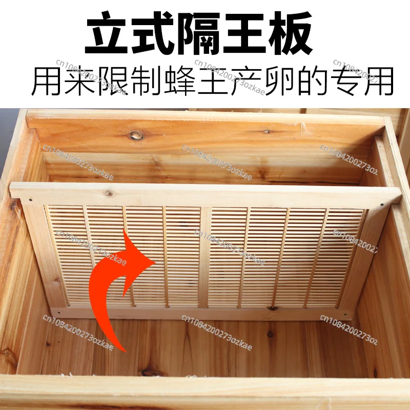 Queen Bee Compartment, Middle Bee Compartment, Vertical Compartment Wang Shan Standard Size Beehives Can Be Used with Special