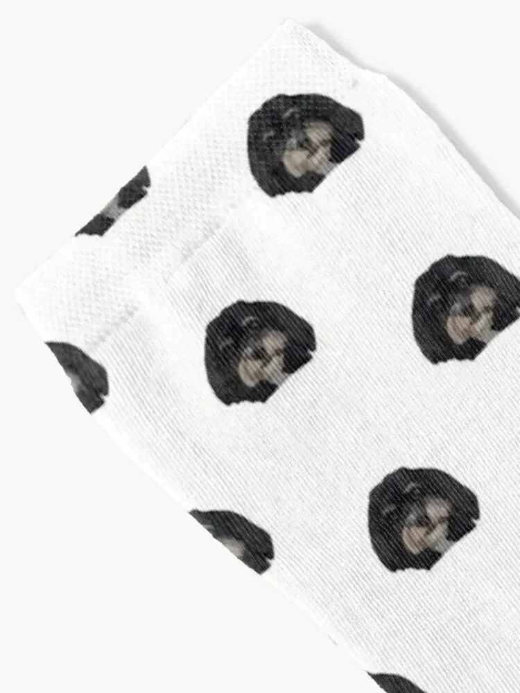 Havanese poodle design Socks professional running hockey sports stockings Run Socks Men's Women's