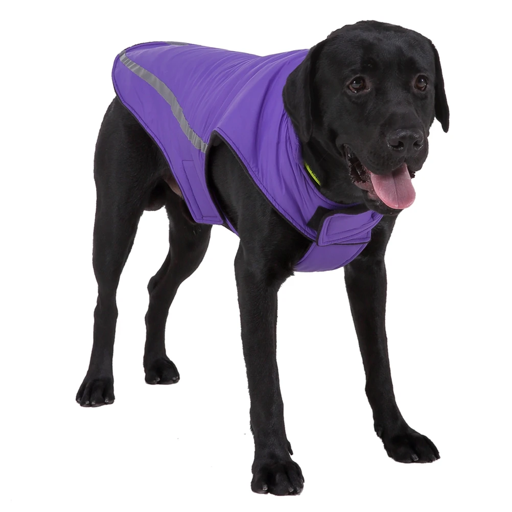 

Pet Reflective Dog Jacket Cool Clothes for Small Dogs Durable Long Lasting Walking Jogging Outdoor Stylish Comfortable Easy to
