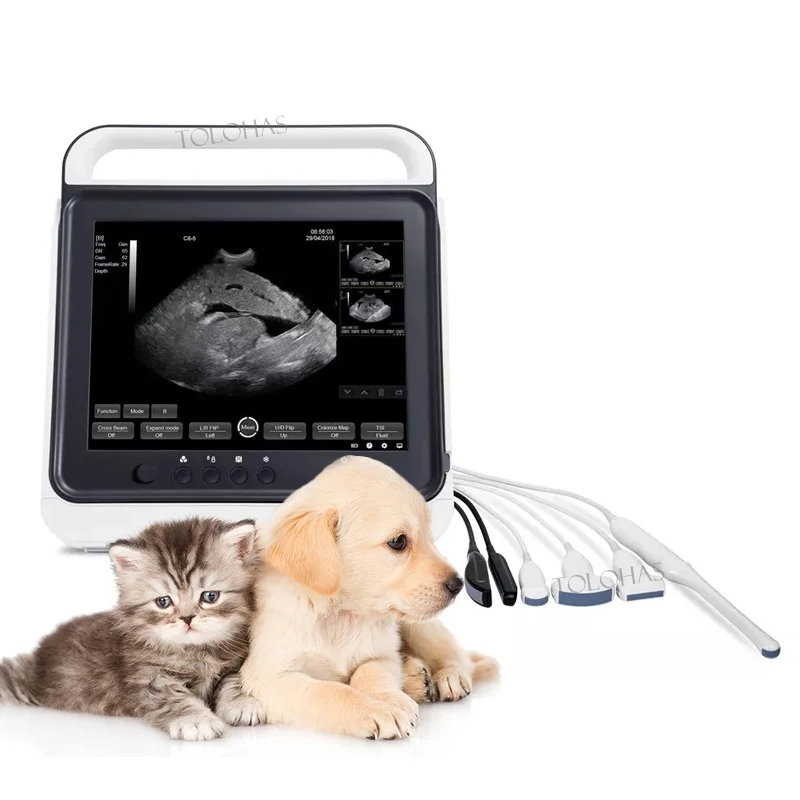 LHAPT50 Big Touch Screen Pet Color Doppler Vet Ultraschallscanner Maschine Niedriger Preis Veterinär-Ultraschall-Doppler