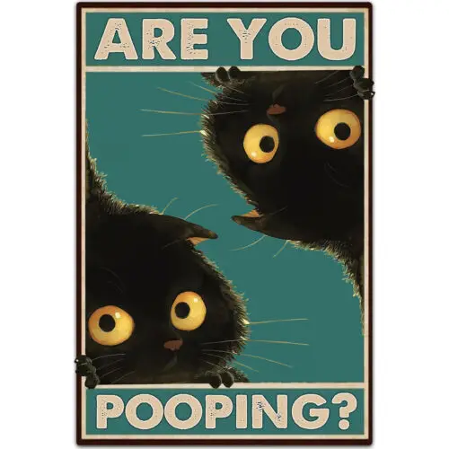 Black Cat Are You Pooping Funny Tin Signs Bathroom Wall Decor 8 x 12 Inches