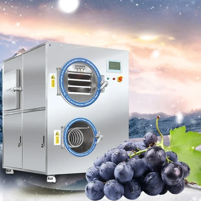 Commercial vacuum lyophilizer, automatic large vacuum lyophilizer for dragon fruit durian meat