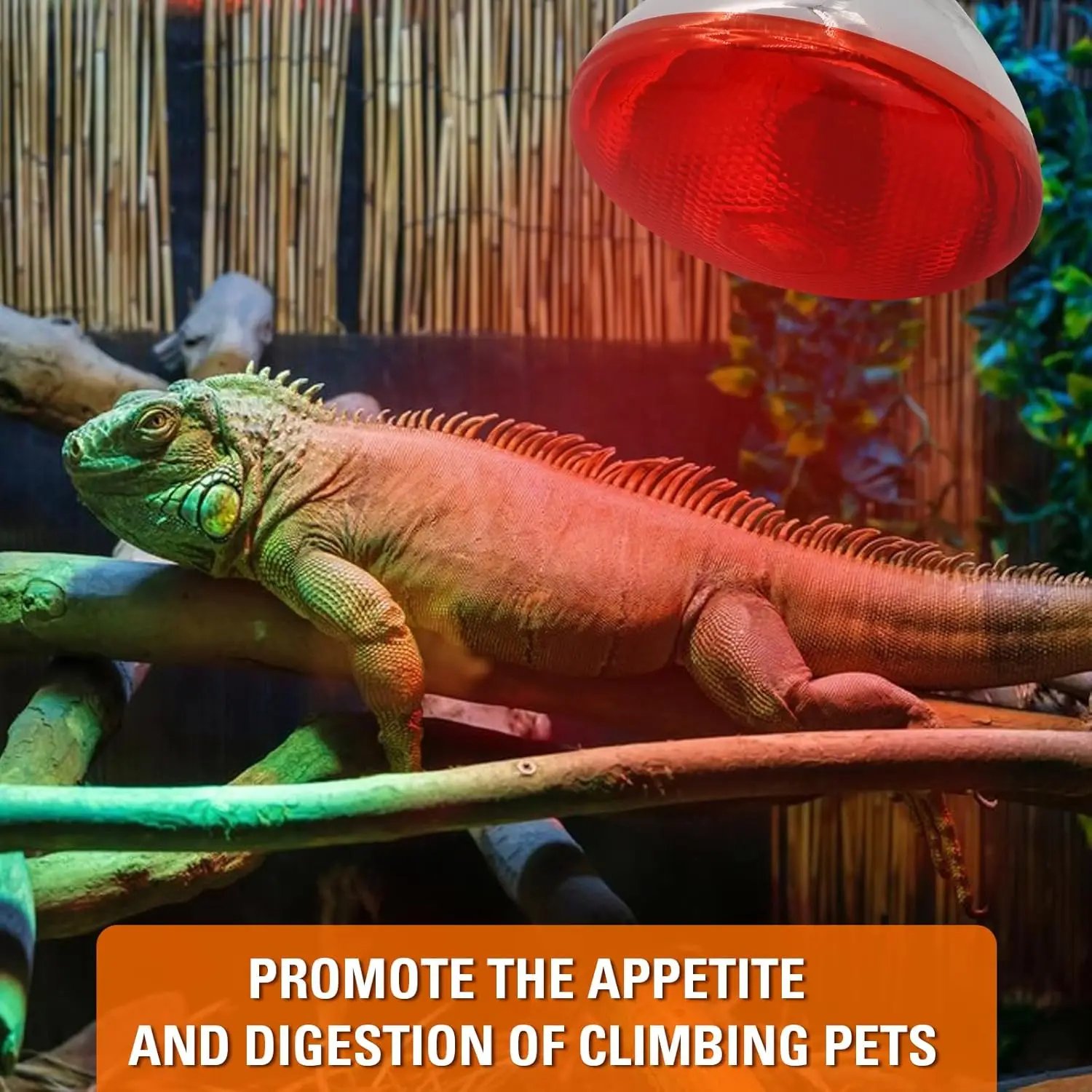 2 قطعة لمبة الحرارة بالأشعة تحت الحمراء ، 250 واط 110 فولت الزواحف الأشعة تحت الحمراء مصباح الحرارة لالثلاب البرمائية السلحفاة الملتحية التنين السحلية الفراخ