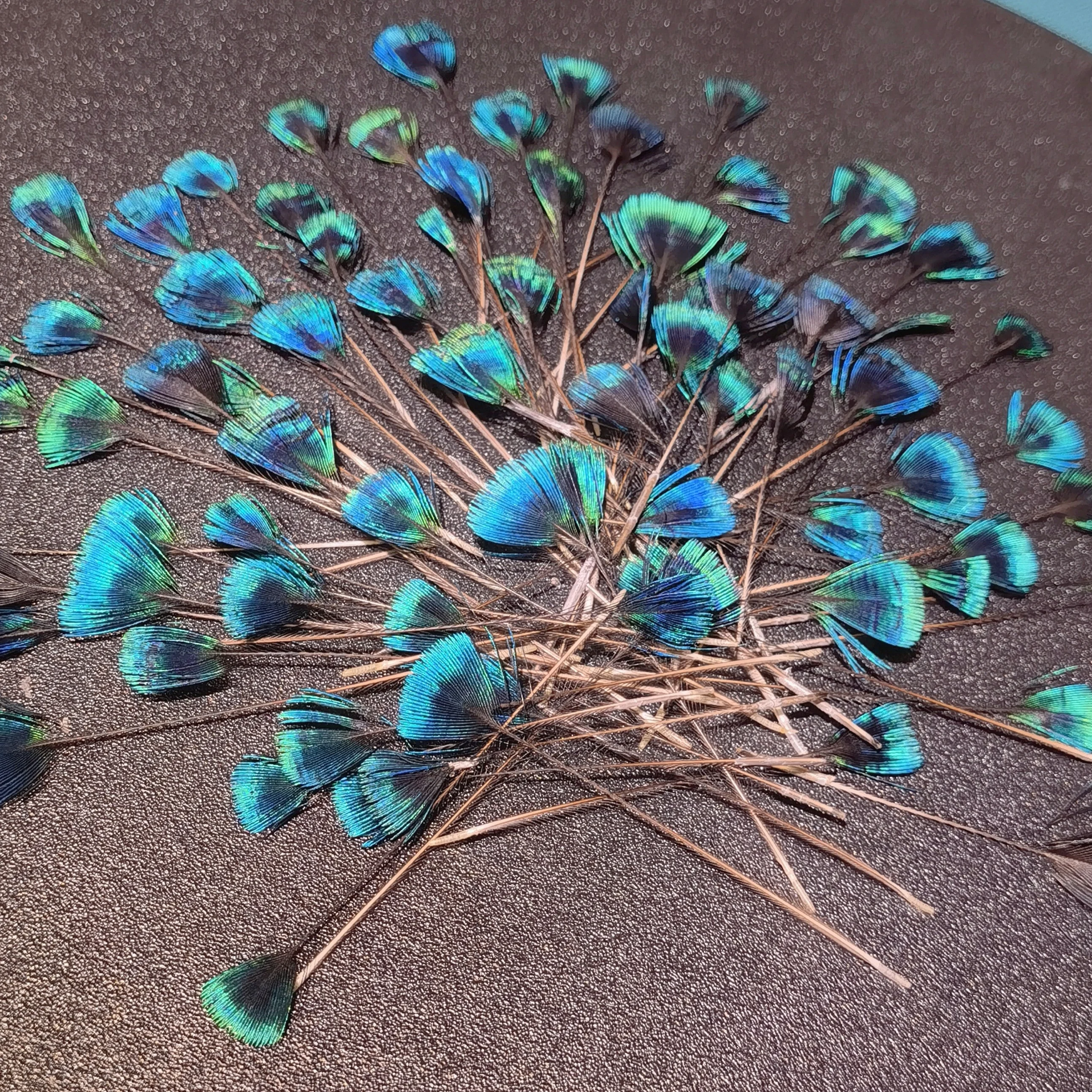 acessorios-de-moda-diy-com-penas-de-pavao-plumas-reais-de-pavao-para-decoracao-de-casa-penas-verdadeiras-de-pavao-20-2499