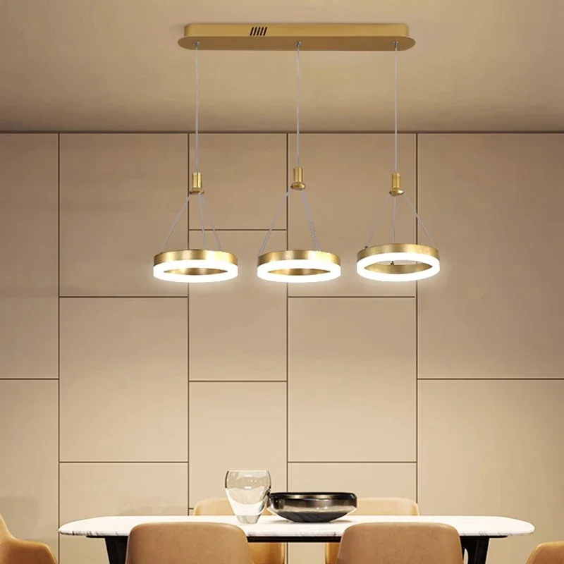 

Nordic Modern Restaurant Dimmable light Creative Home Decoration LED Light for Living Room and Study Pendant Lamp for Bedroom