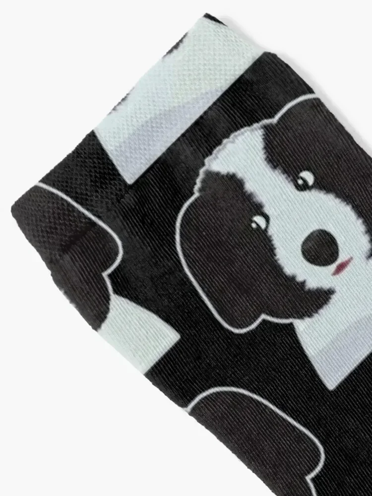 Bordoodle & Bernedoodle Socks kids gym floor Mens Socks Women's