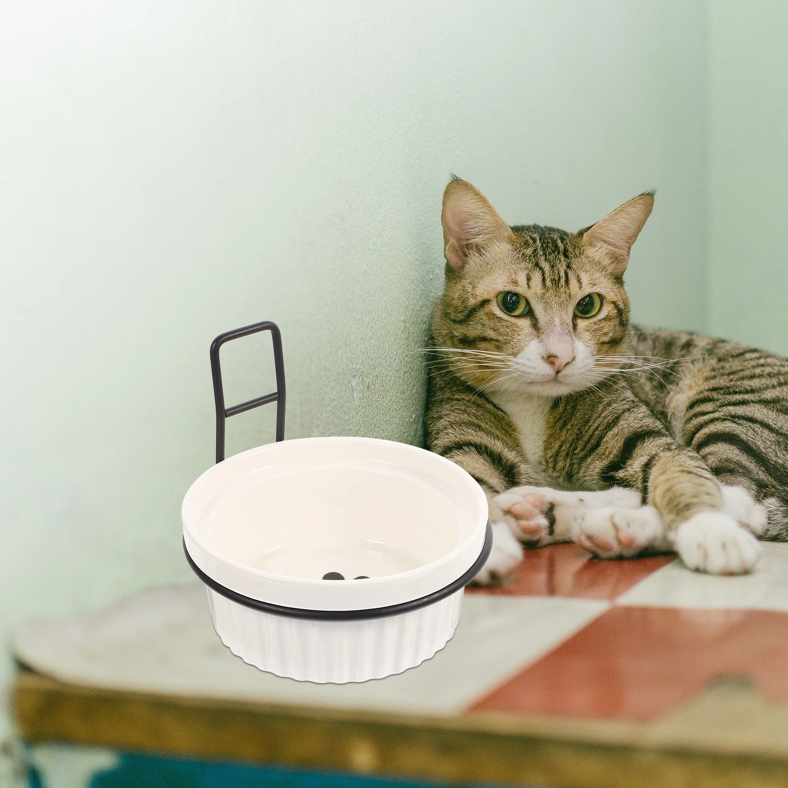 

1Set Wall Mount Cat Bowl Ceramic Hanging Pet Feeder for Dogs Cats Ferrets Rabbits Corrosion-Resistant Smooth Edge Feeding Bowl
