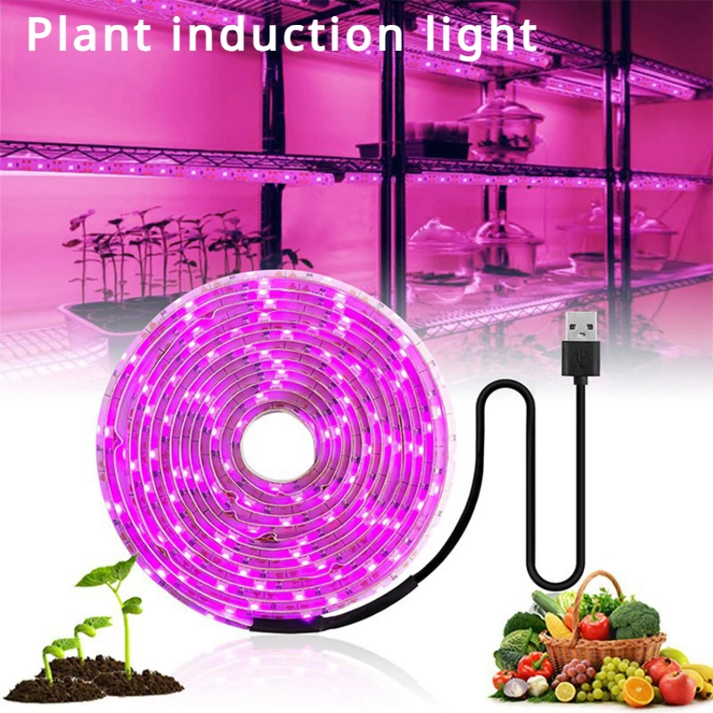 

USB 5v Grow Light Strip Uv Lamp Hydroponics Indoor Plant Phytolamp for Plants Horticultural Led Lights Phyto Lighting Growing