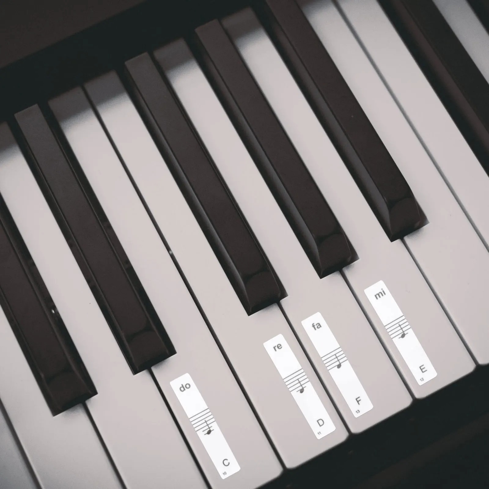 

Piano Stickers Note Introductory Beginner Electronic Keyboard Pvc Training Waterproof Long Lasting Decal Piano Accessories