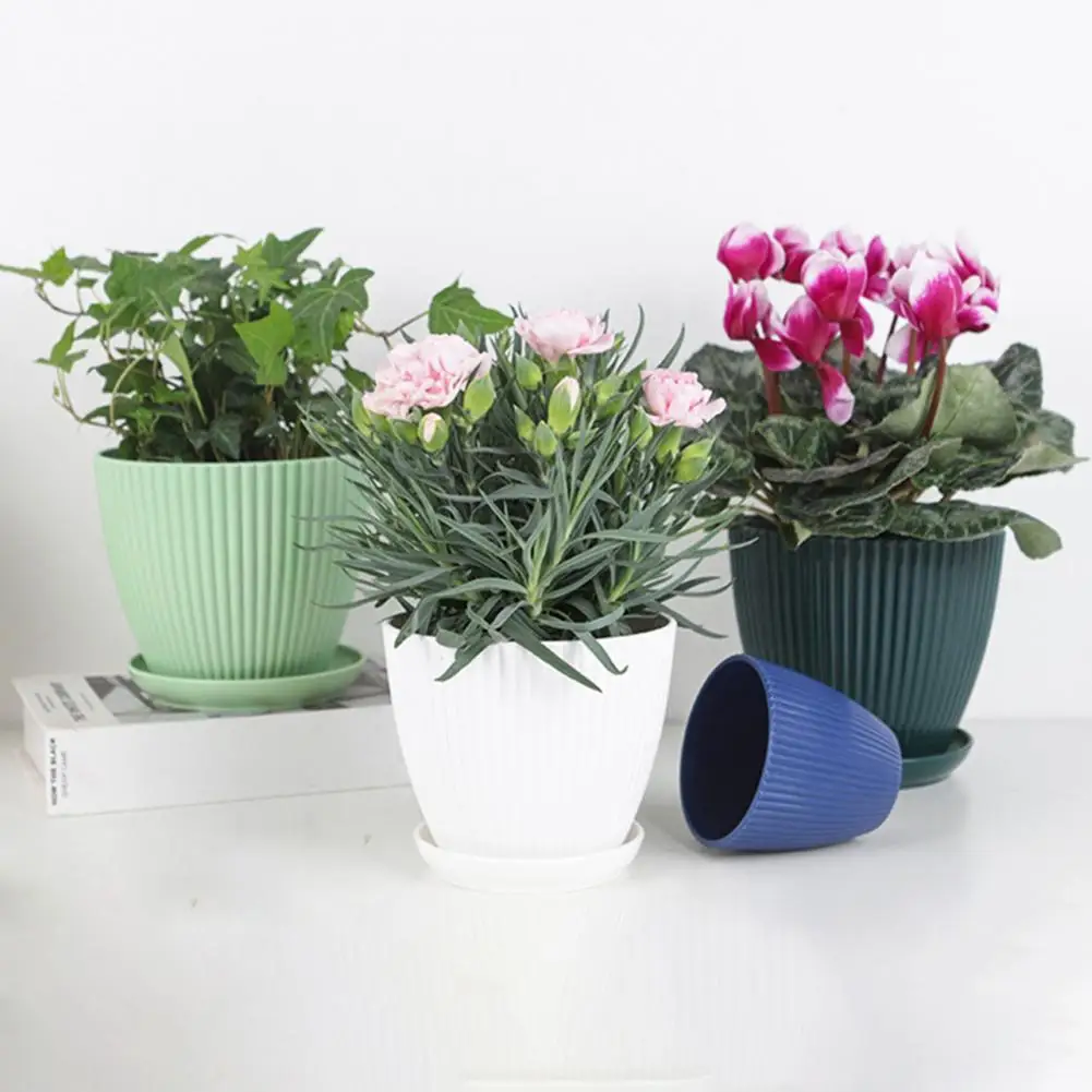 

1 Set Plant Pot Decorative Nursery Container Round Planters Candy Color Mini Succulents Home Office Decor Bonsai Accessories