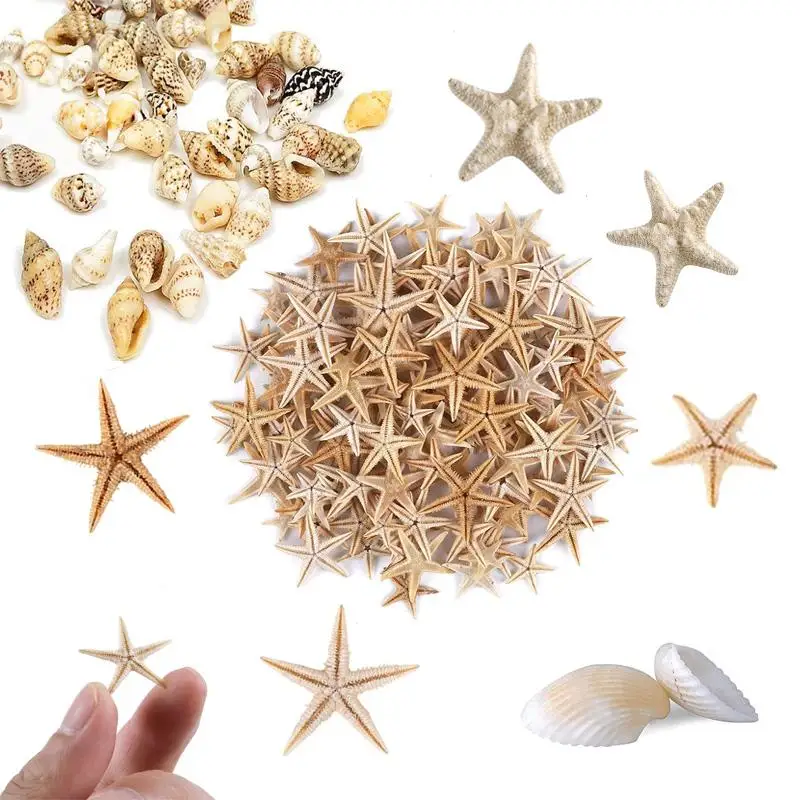 yZ[z1-100pcs 1-5cm Natural Starfish Seashell Beach Craft Natural Sea Stars DIY Beach Wedding Decoration Mini Starfish
