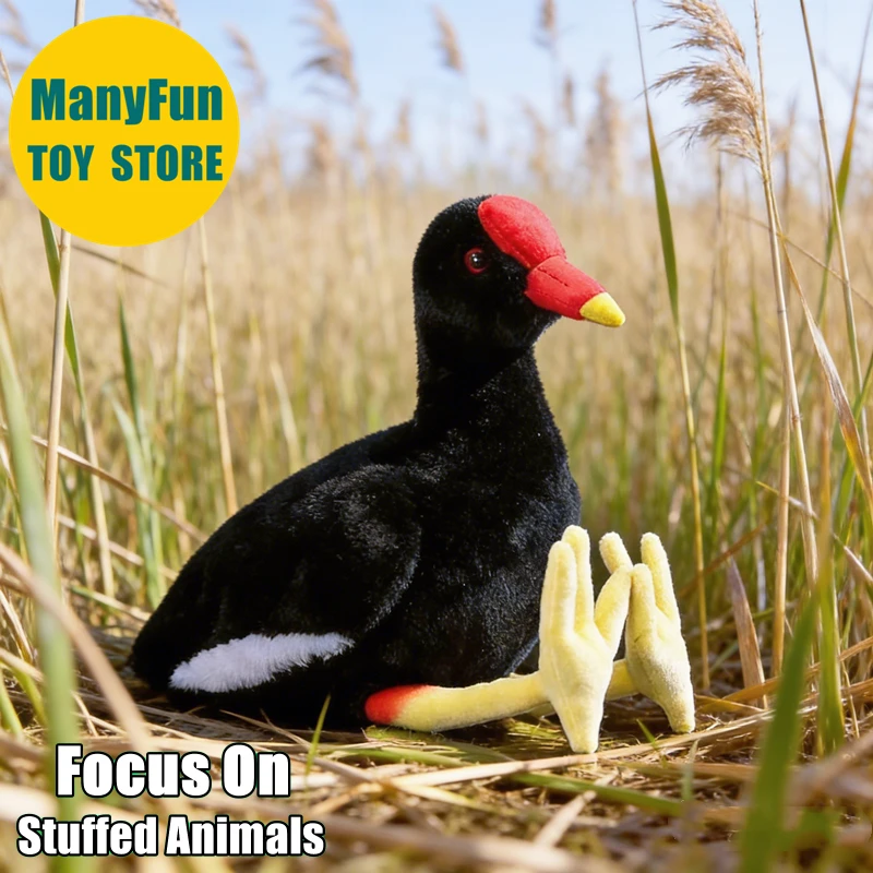 Moorhen juguete de peluche realista Rail Plushie realista Waterhen Animal relleno bota simulación muñeca juguete regalos