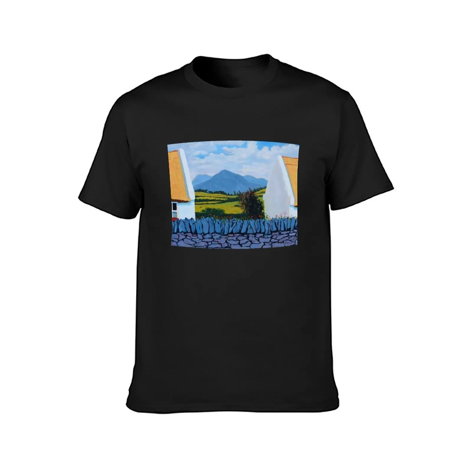 Connemara Between (County Galway, Ireland) T-Shirt graphics funnys for a boy boys animal print mens t shirt graphic