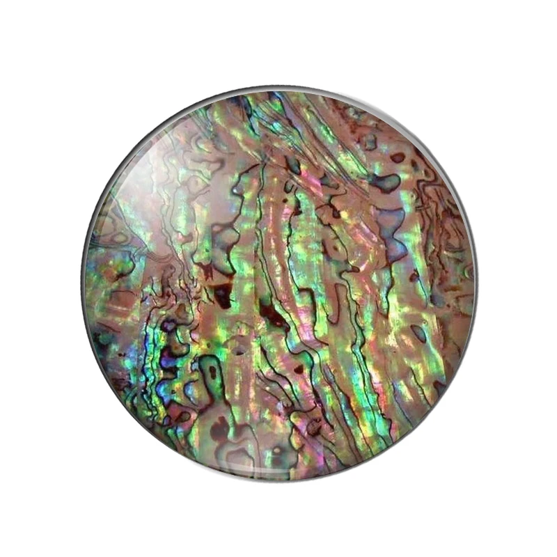 New Seashell abalone paua 10pcs 12mm/14mm/16mm/18mm20mm//25mm Round photo glass cabochon demo flat back Making findings