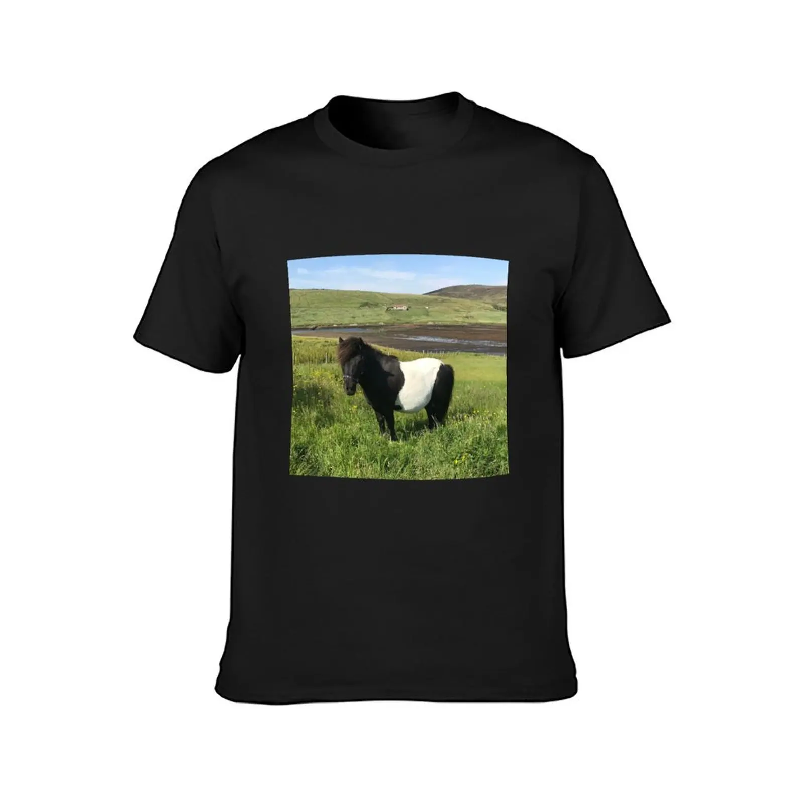 Shetland Pony - Shetland Islands T-Shirt plus size tops kawaii clothes Blouse funnys mens white t shirts