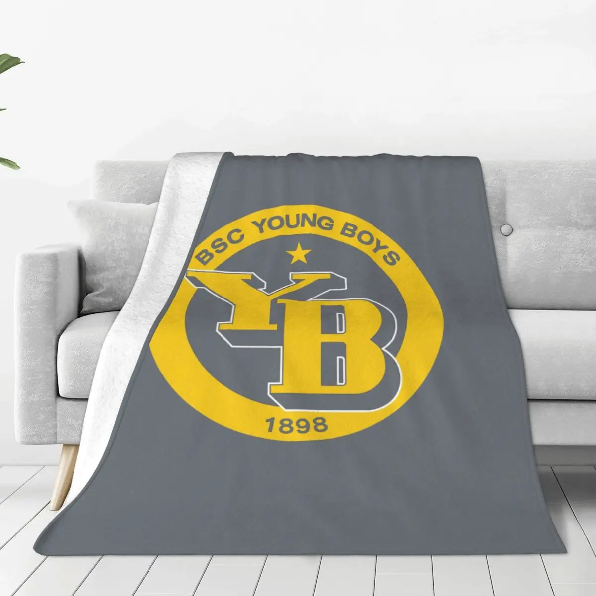 Bsc Young Boys Swis… - image